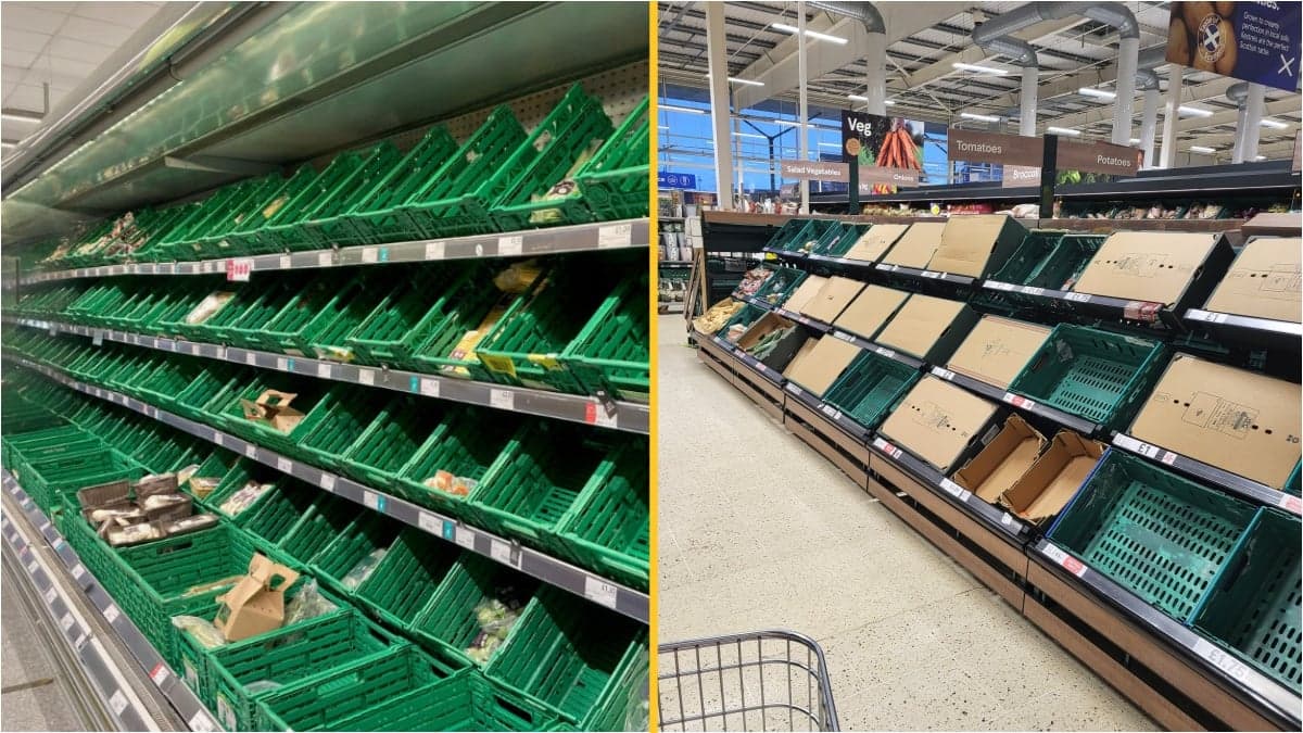 Supermarkets impose purchase limits on fruit and veg as fresh produce supplies dwindle