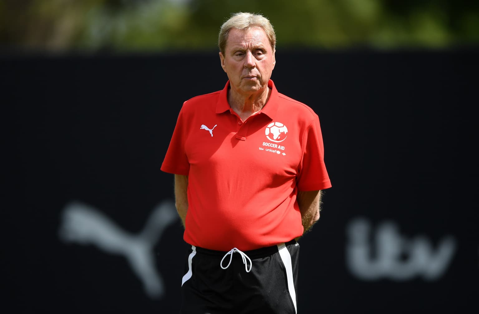 Harry Redknapp offers to replace Antonio Conte as Tottenham boss