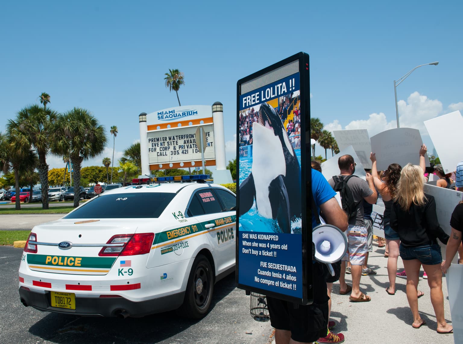 Orca to be set free after spending past 50 years in Miami aquarium