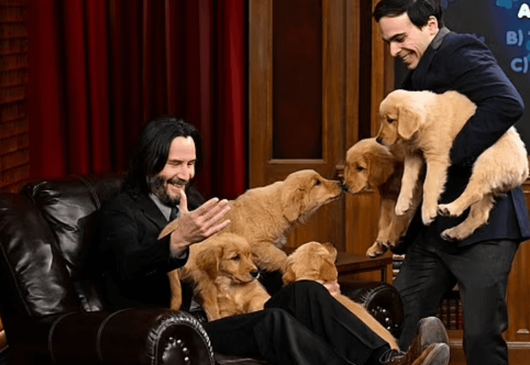 Keanu Reeves cuddles up with adorable puppies during TV interview Keanu Reeves cuddles up with adorable puppies during TV interview