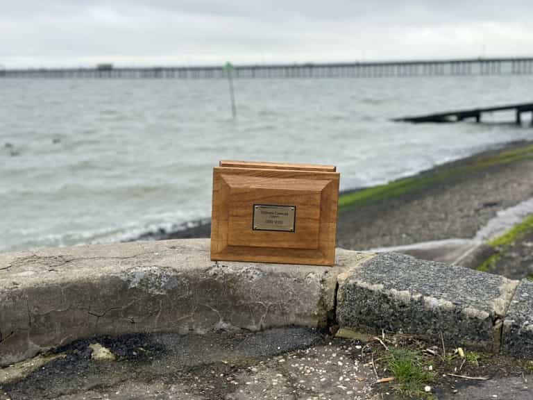 Son loses dad’s ashes in Tesco bag for life during nine-hour pub crawl Son loses dad’s ashes in Tesco bag for life during nine-hour pub crawl