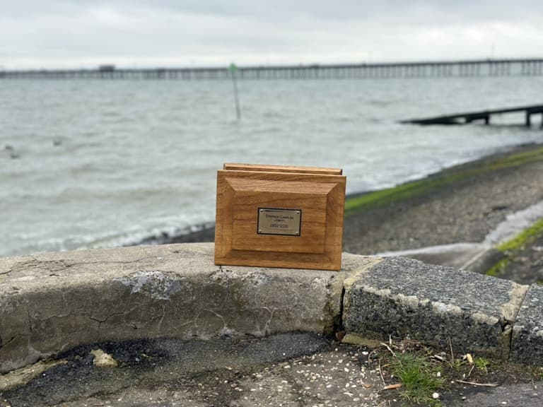 Son loses dad’s ashes in Tesco bag for life during nine-hour pub crawl Son loses dad’s ashes in Tesco bag for life during nine-hour pub crawl