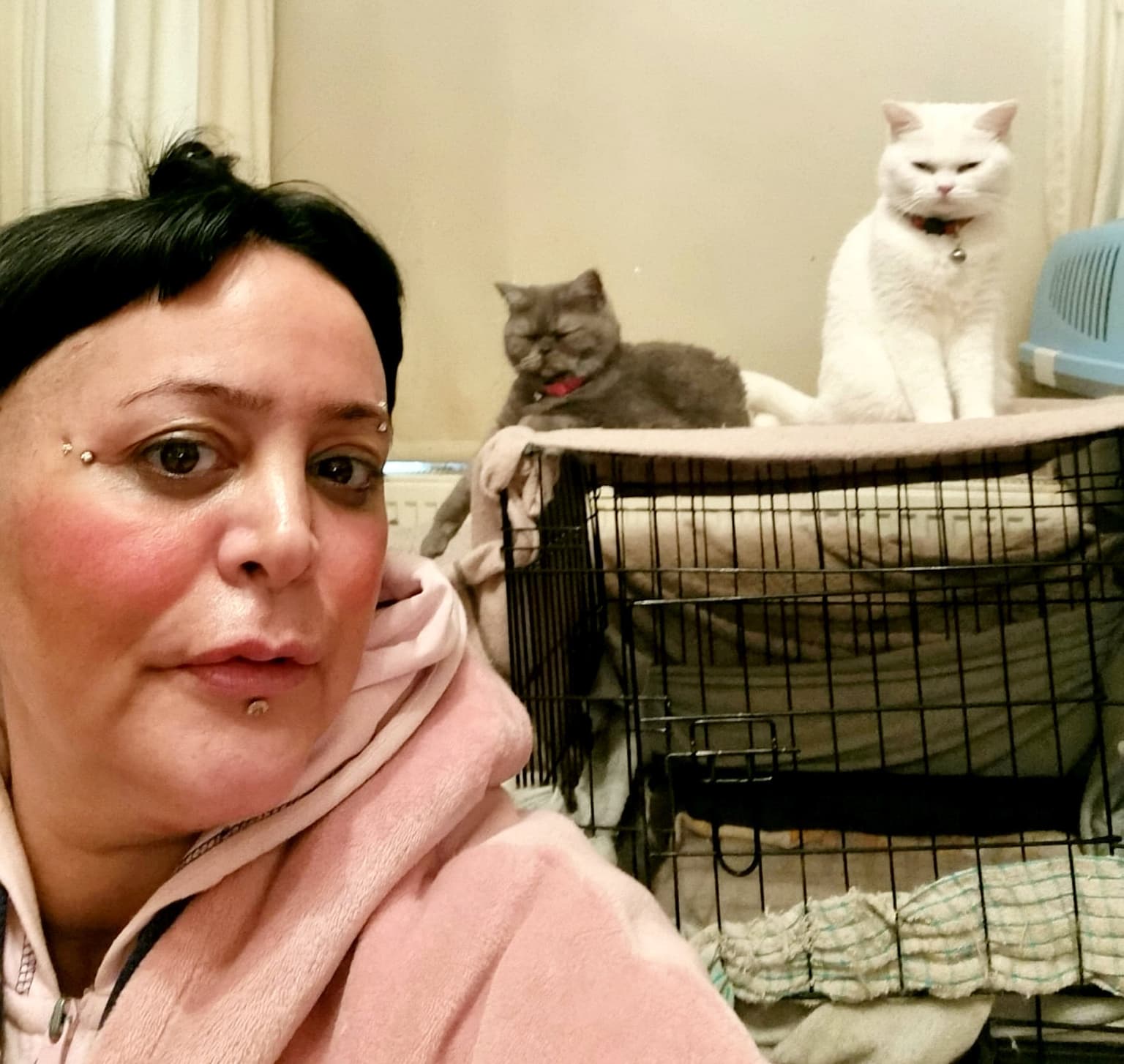 ‘I can only afford one meal a week on benefits – I spend all my money feeding my six cats’