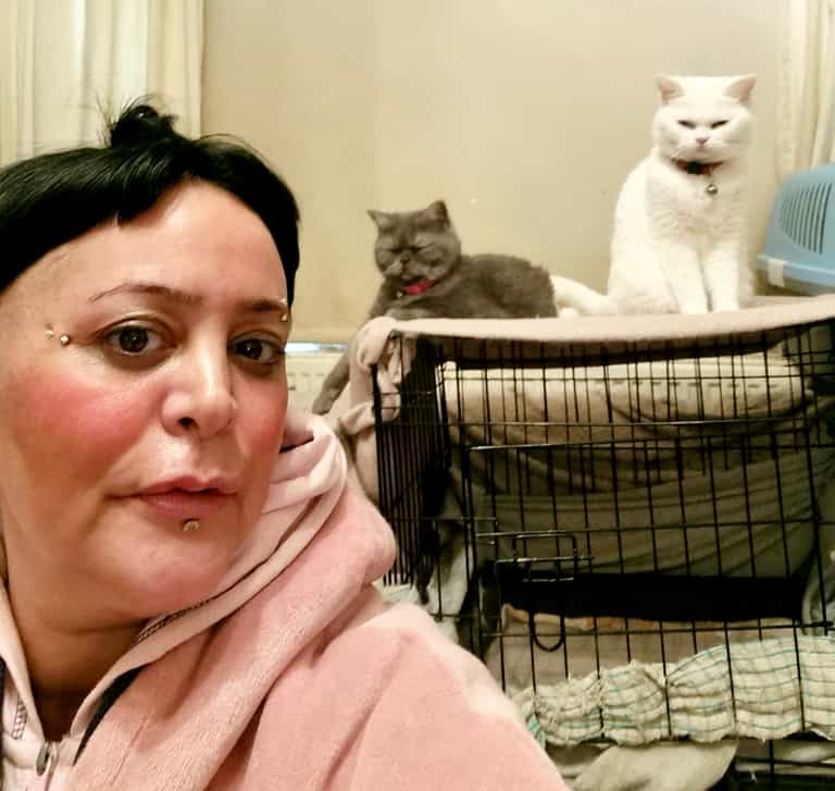 ‘I can only afford one meal a week on benefits – I spend all my money feeding my six cats’ ‘I can only afford one meal a week on benefits – I spend all my money feeding my six cats’