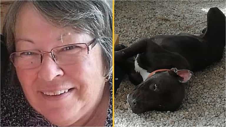 British grandmother killed by stray pit bull she had adopted was warned it was dangerous by vet British grandmother killed by stray pit bull she had adopted was warned it was dangerous by vet