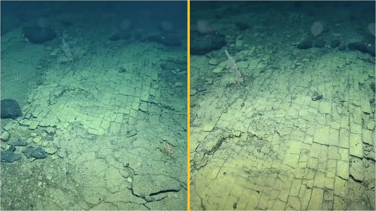 Scientists find ‘road to Atlantis’ at bottom of Pacific Ocean