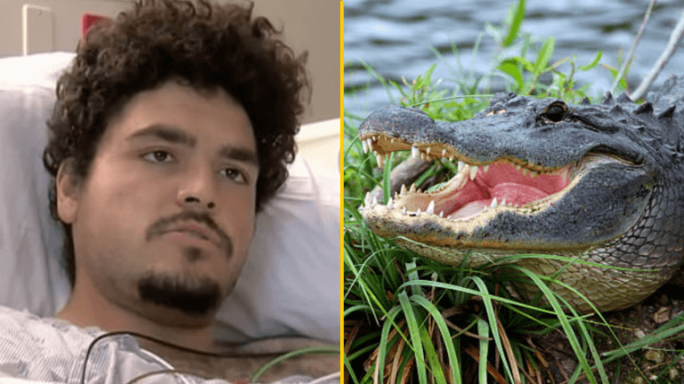 Man leaves bar because toilet line is too long – gets attacked by 10-foot alligator Man leaves bar because toilet line is too long – gets attacked by 10-foot alligator
