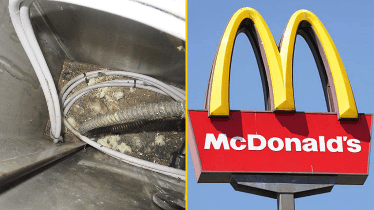 McDonald’s fined half a million pounds after customer found mouse droppings in cheeseburger McDonald’s fined half a million pounds after customer found mouse droppings in cheeseburger