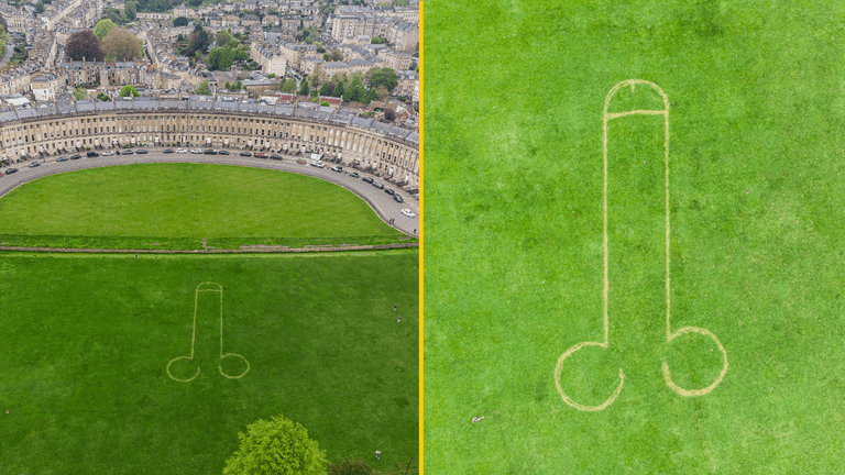 Pranksters mow giant penis into lawn on famous street days before Coronation party there Pranksters mow giant penis into lawn on famous street days before Coronation party there