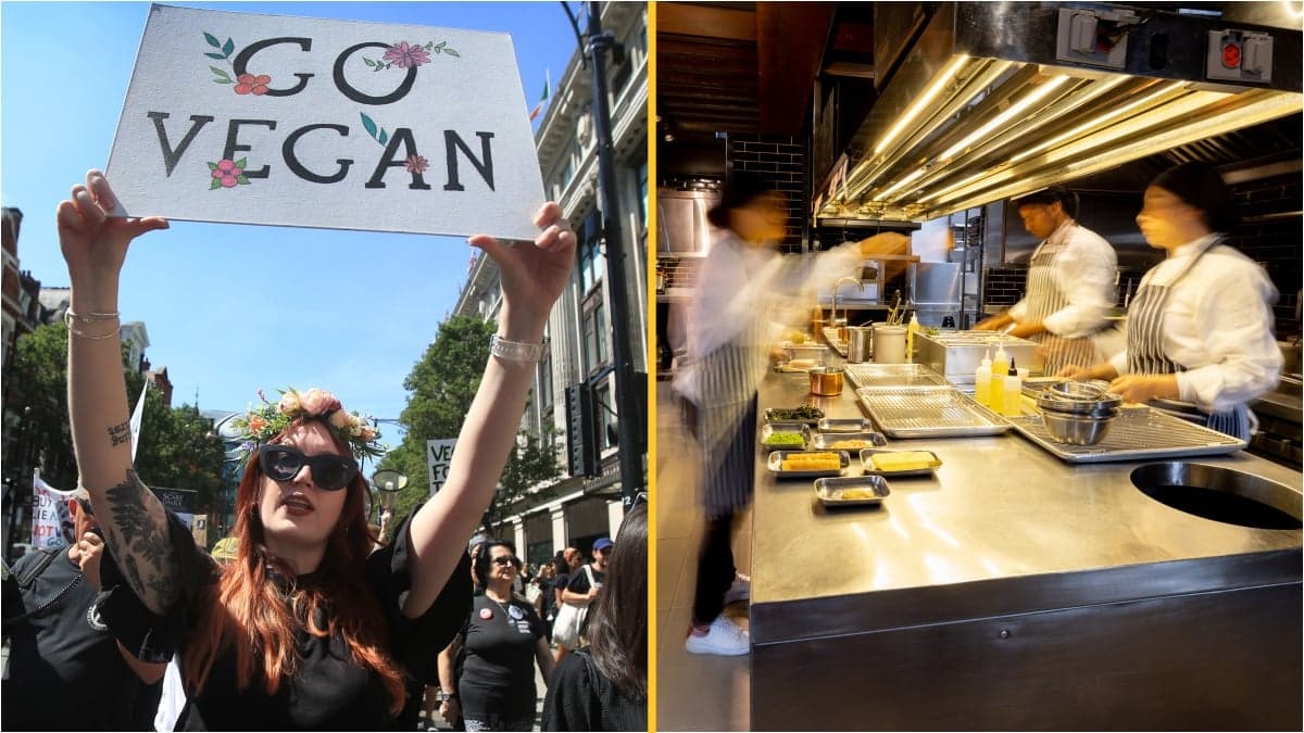 Celebrity chef bans all vegans from his restaurant following customer complaint