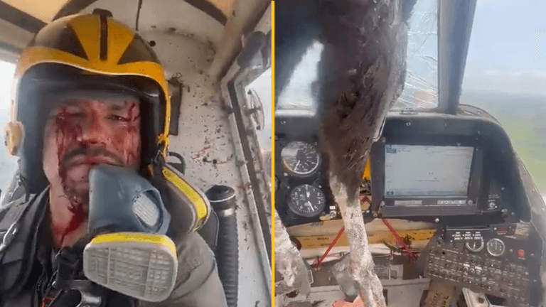 Pilot calmly takes video after enormous bird smashes through windscreen covering him in blood Pilot calmly takes video after enormous bird smashes through windscreen covering him in blood