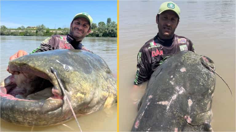 ‘Monster’ 2.85m catfish caught during epic struggle could be a world record ‘Monster’ 2.85m catfish caught during epic struggle could be a world record