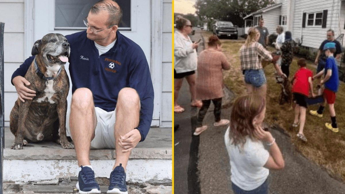 Entire town turns out for dying dog’s final walk