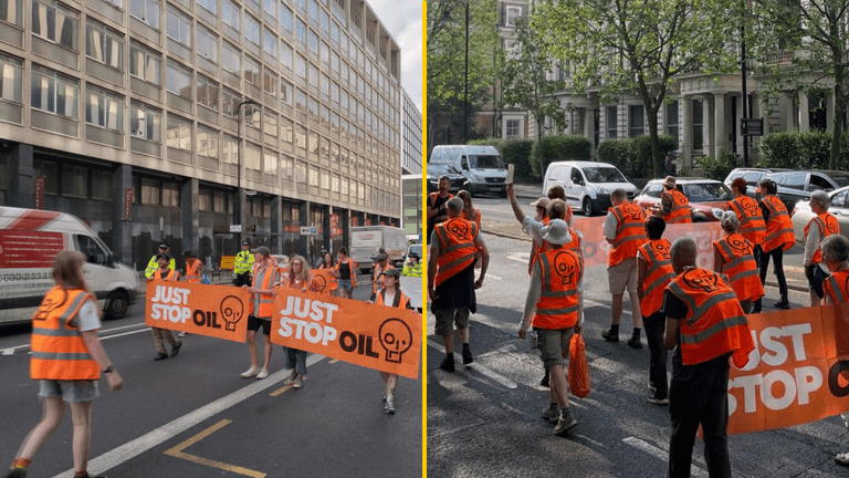 Just Stop Oil ‘slow walk’ protests take up over 13,000 Met Police shifts and cost taxpayer £4.5m Just Stop Oil ‘slow walk’ protests take up over 13,000 Met Police shifts and cost taxpayer £4.5m