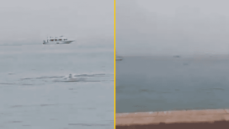 Man mauled to death by shark at Egyptian tourist resort Man mauled to death by shark at Egyptian tourist resort