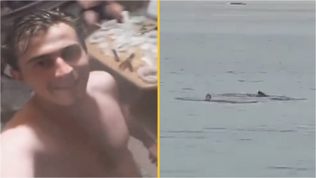 Harrowing details emerge after man was eaten alive by shark