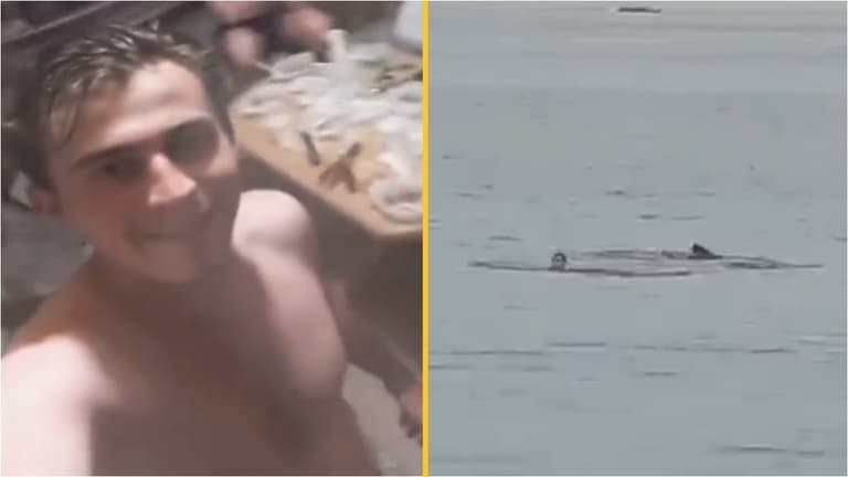 Harrowing details emerge after man was eaten alive by shark Harrowing details emerge after man was eaten alive by shark
