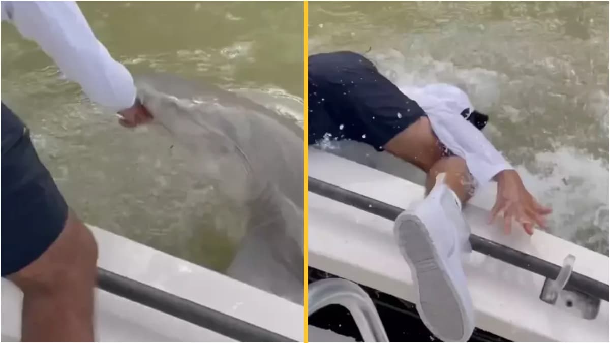 Warning issued after man dragged into water by shark in Florida