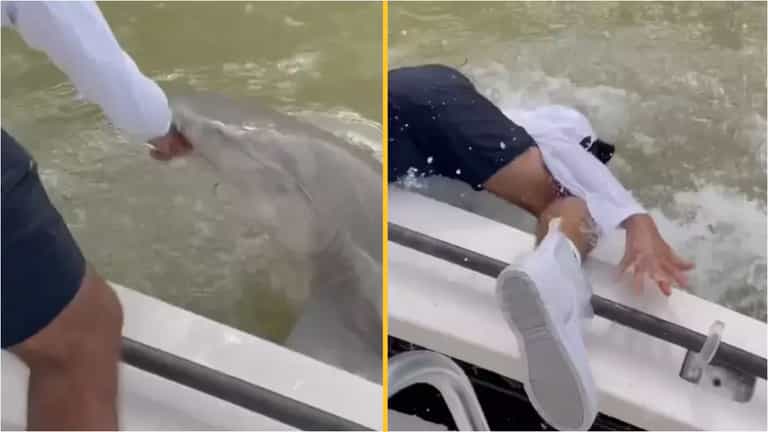 Warning issued after man dragged into water by shark in Florida Warning issued after man dragged into water by shark in Florida