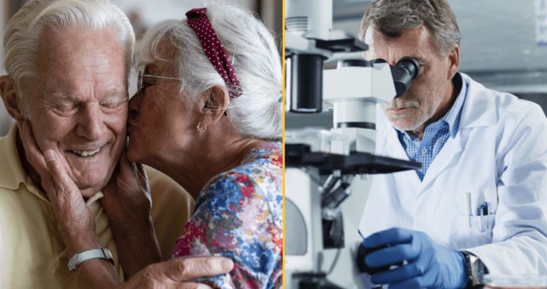 New wonder drug found to slow Alzheimer’s