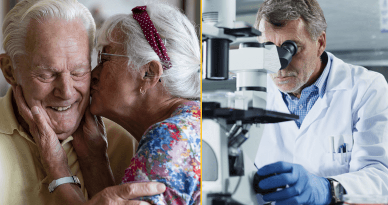 New wonder drug found to slow Alzheimer’s New wonder drug found to slow Alzheimer’s