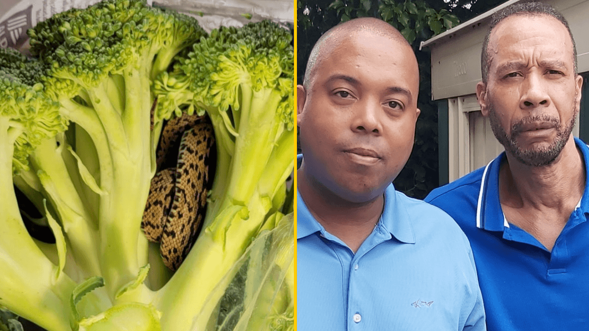 Grandad finds snake in his Aldi broccoli