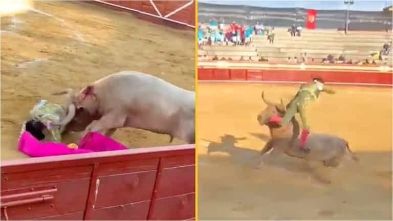 Bullfighter gored in the rectum and thrown in the air as horrified spectators watch on Bullfighter gored in the rectum and thrown in the air as horrified spectators watch on