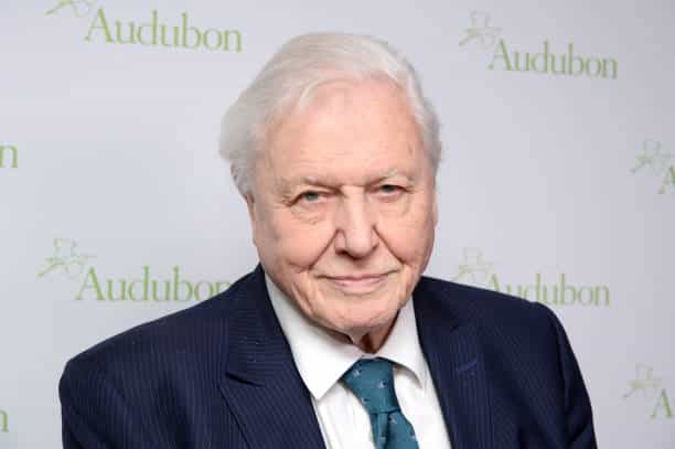 Sir David Attenborough says he is ‘not afraid of death’ as he prepares for 100th birthday Sir David Attenborough says he is ‘not afraid of death’ as he prepares for 100th birthday