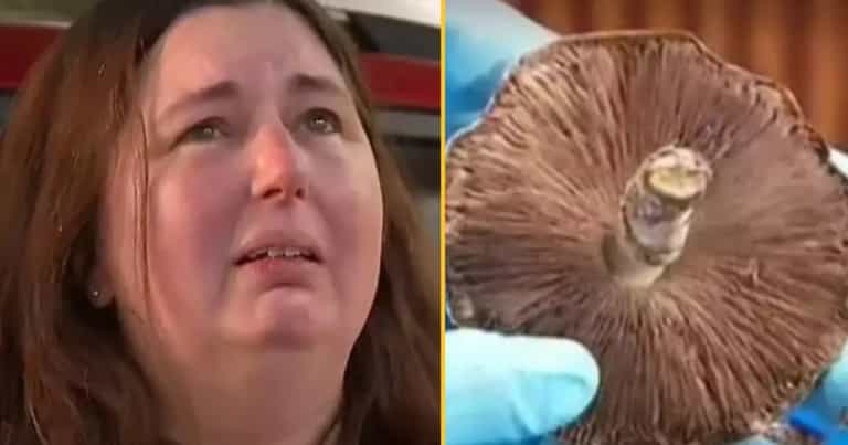 Woman who allegedly cooked poisonous mushroom lunch for family admits she lied to police Woman who allegedly cooked poisonous mushroom lunch for family admits she lied to police