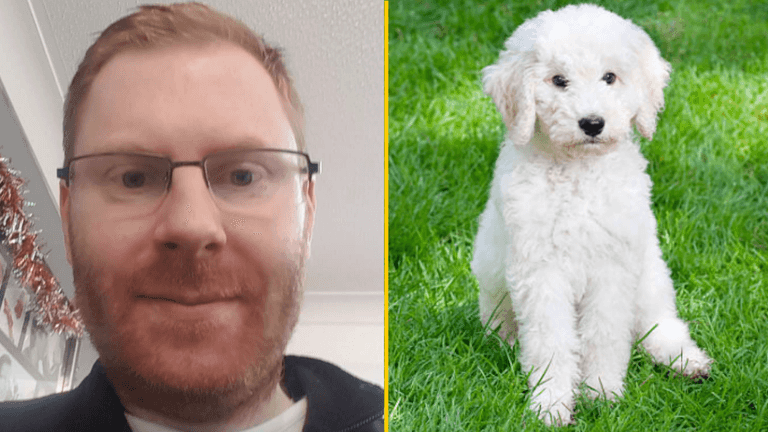 Man found dead after burglars broke into his home to steal his labradoodle Man found dead after burglars broke into his home to steal his labradoodle