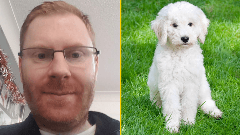 Man found dead after burglars broke into his home to steal his labradoodle Man found dead after burglars broke into his home to steal his labradoodle