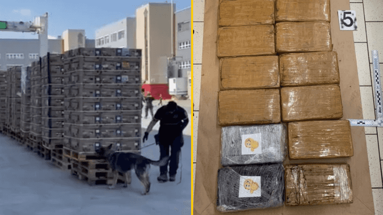 Drug smugglers deliver $83 million of cocaine to supermarkets by mistake Drug smugglers deliver $83 million of cocaine to supermarkets by mistake