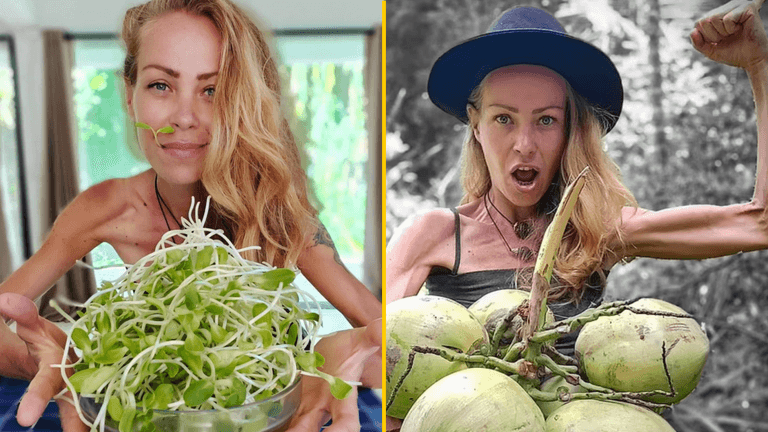 Vegan raw food blogger dies of ‘starvation and exhaustion’ Vegan raw food blogger dies of ‘starvation and exhaustion’