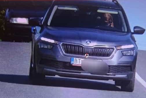 Car owner fined after dog pictured ‘driving car’ Car owner fined after dog pictured ‘driving car’