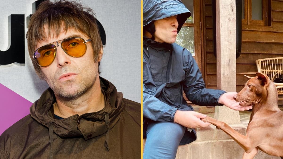 Liam Gallagher adopts stray dog from Thailand after application stuns sanctuary owner
