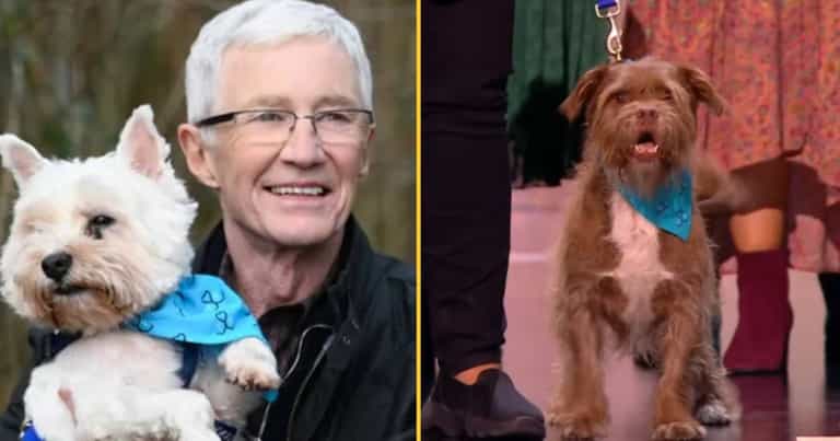 Paul O’Grady wins National Television Award six months after death Paul O’Grady wins National Television Award six months after death