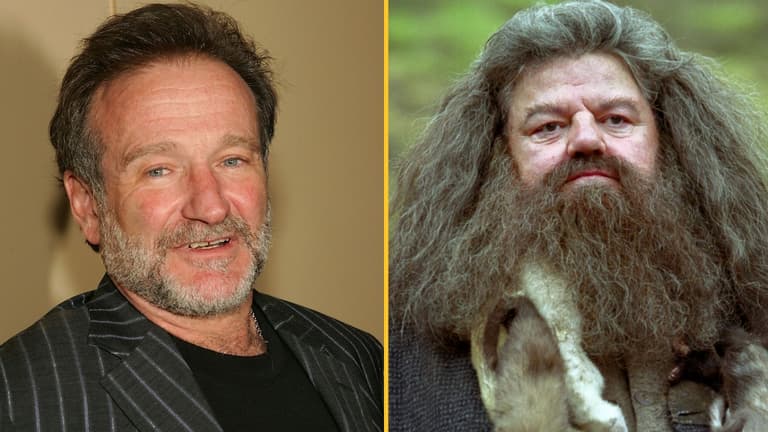 Robin Williams wanted to play Hagrid in the Harry Potter movies Robin Williams wanted to play Hagrid in the Harry Potter movies