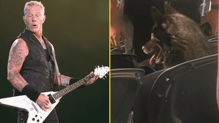 Dog runs away from home then watches entire Metallica show Dog runs away from home then watches entire Metallica show