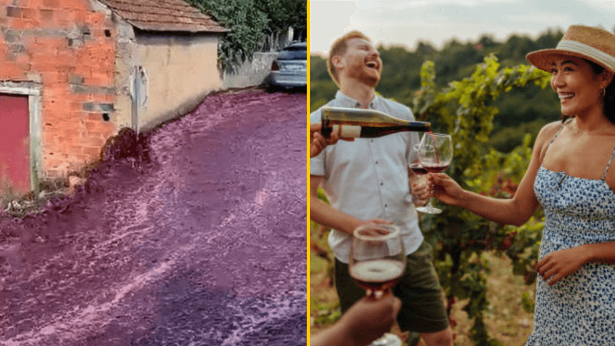 ‘River of red wine’ flows through town after 580,000 gallon spillage