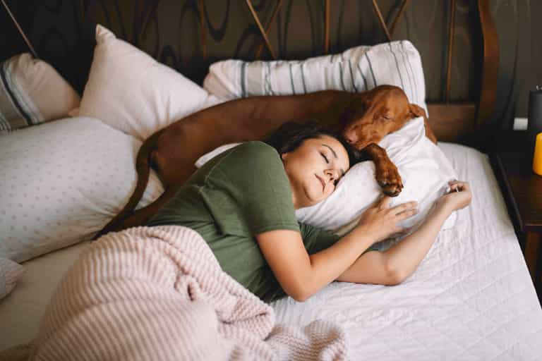 People who let their dogs sleep in their bed are happier, according to science People who let their dogs sleep in their bed are happier, according to science