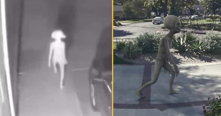 Ring is offering $1 million for the best alien footage with ‘unaltered scientific evidence’ Ring is offering $1 million for the best alien footage with ‘unaltered scientific evidence’