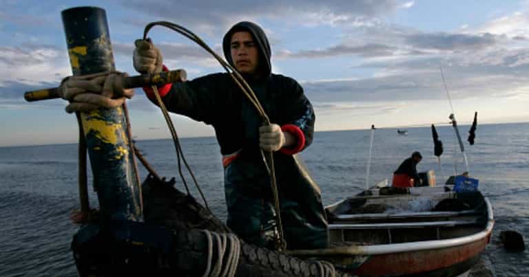 First extinction alert issued in 70 years to help rarest marine mammal on earth First extinction alert issued in 70 years to help rarest marine mammal on earth