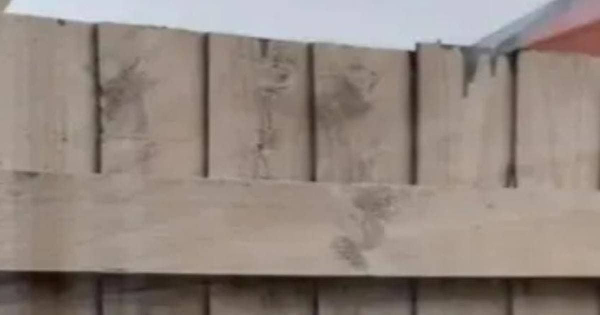 ‘My neighbour only painted their side of the fence and left mine dripping with paint’
