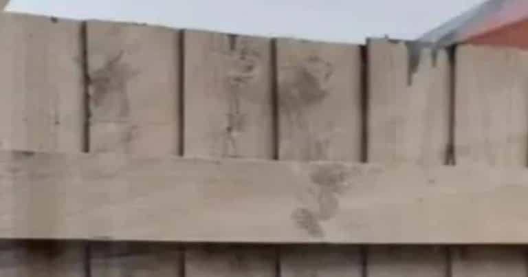 ‘My neighbour only painted their side of the fence and left mine dripping with paint’ ‘My neighbour only painted their side of the fence and left mine dripping with paint’