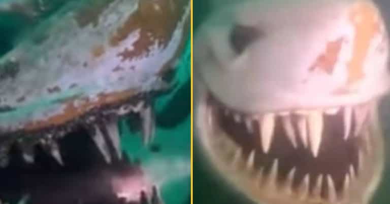 Evil genius hides giant shark statue at bottom of lake to terrify divers Evil genius hides giant shark statue at bottom of lake to terrify divers