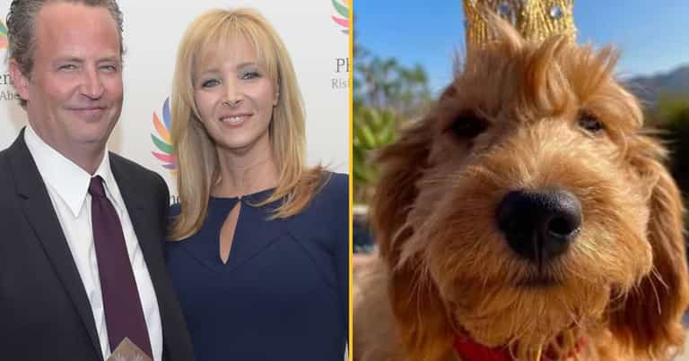 Lisa Kudrow reportedly wants to adopt Matthew Perry’s dog Alfred Lisa Kudrow reportedly wants to adopt Matthew Perry’s dog Alfred