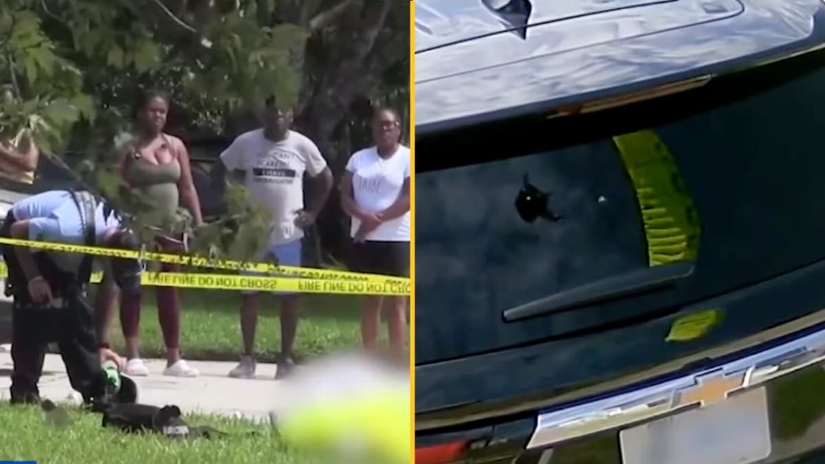 Dead skydiver found on homeowner’s front lawn – CCTV captures ‘hard landing’