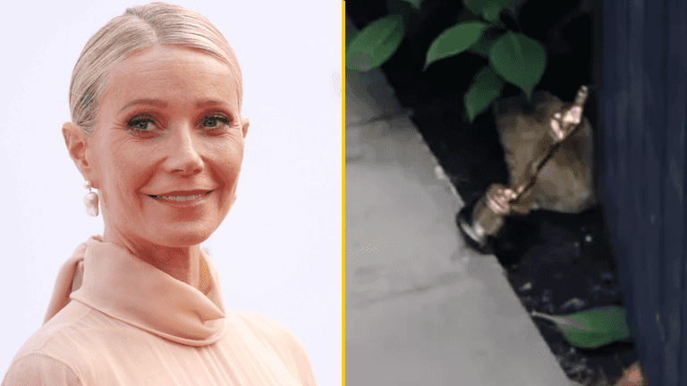 Gwyneth Paltrow uses her Academy Award as a doorstop Gwyneth Paltrow uses her Academy Award as a doorstop