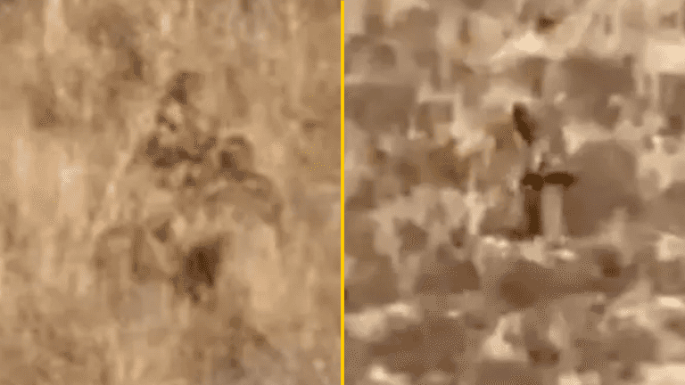 Clear video of Bigfoot sighting shows ‘Sasquatch’ hiking up a mountain Clear video of Bigfoot sighting shows ‘Sasquatch’ hiking up a mountain