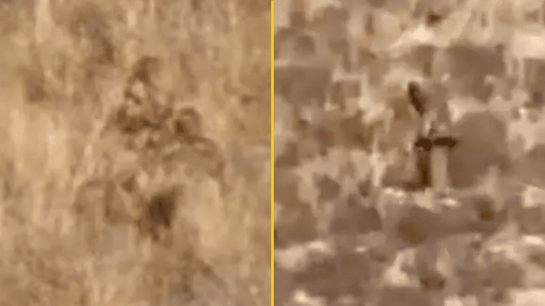 Clear video of Bigfoot sighting shows ‘Sasquatch’ hiking up a mountain Clear video of Bigfoot sighting shows ‘Sasquatch’ hiking up a mountain